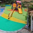 돌샘유치원 이미지