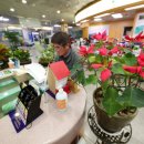 산청군청 이미지