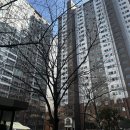 하단SK뷰공인중개사사무소 | 🏠 [부산 사하구 아파트 경매] 하단 SK뷰 29평형2차 최저가 2억2천대! 대단지·생활인프라 우수, 배당...