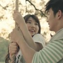 수지양