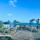 제주엘펜션 이미지