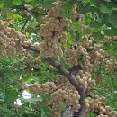 남성현역 이미지