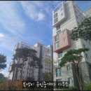 보람동_세종시청 후문 이미지