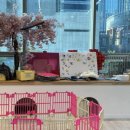 댕신나게 이미지