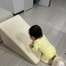 엄마맘식당