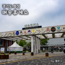 매송주유소 이미지