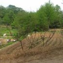 ㈜하이랜드 이미지