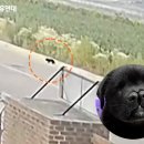 순열농장 이미지