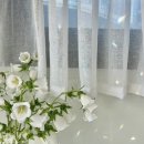 서산사진관 | 서산 사진관 “나우” 기록용 증명사진 후기