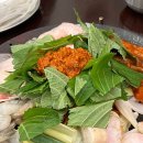쭈꾸미도사 - 양천구 오목로 313-3 | 쭈꾸미도사