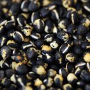 개골농장 이미지