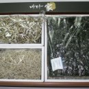 바다(家) 이미지