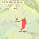 합포 285