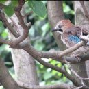 튼튼펫샵 이미지