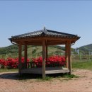 고군면 오일시장 이미지