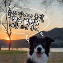 잭슨글램핑