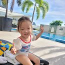 뉴 퍼시픽 이미지