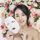 오월의신부 - 동래구 반송로 229 | 오월의신부