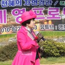 C0393 Daum카페