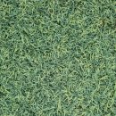 진보생활체육공원 이미지