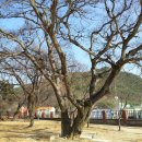 가회중학교 이미지