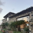 코난비치 | 제주 코난비치펜션 연박 후기 | 월정리 바다 앞 감성 숙소