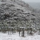 영천(대구)휴게소 이미지