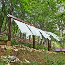 (주)부성조경