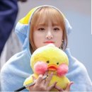 위즈원