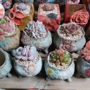 연화농장 이미지