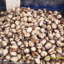 부일상회 이미지