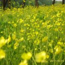 솔밭농장 이미지