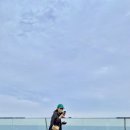 본전상회 이미지