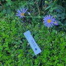 이회식한의원 이미지