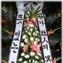 대구의료원 국화원 이미지