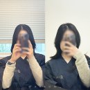 신사역 미용실 쉬작헤어에서 아이롱펌 후기