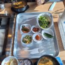 [제1339회 365건강걷기] 11월11일 (화) 미사리 경정공원 단풍길 생태공원 억새길 메타세콰이어 단풍길 안내 이미지