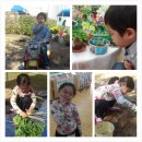 맑은해유치원 이미지