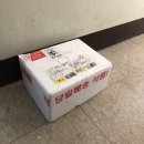 뚱띠레이 이미지