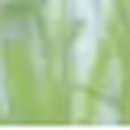 뉴슬림의원 이미지