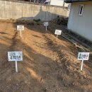 평촌초등학교 옆 이미지