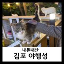 야행성 | [내돈내산] 고양이있고 강아지있는 고양이카페 / 김포 감정동 "야행성"