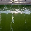 호수 태양광발전소 이미지