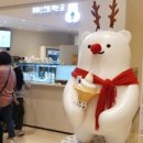 한화리조트거제벨버디어 인피니티풀 이미지