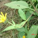 동트는어린이집 이미지