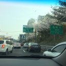 진해홈플러스건너편 이미지