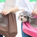 모던켄넬 이미지