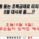 08.08 옵션만기일 평주회 리딩방~! 이미지