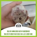 가나동물병원 이미지