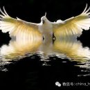 만덕2동-4 이미지